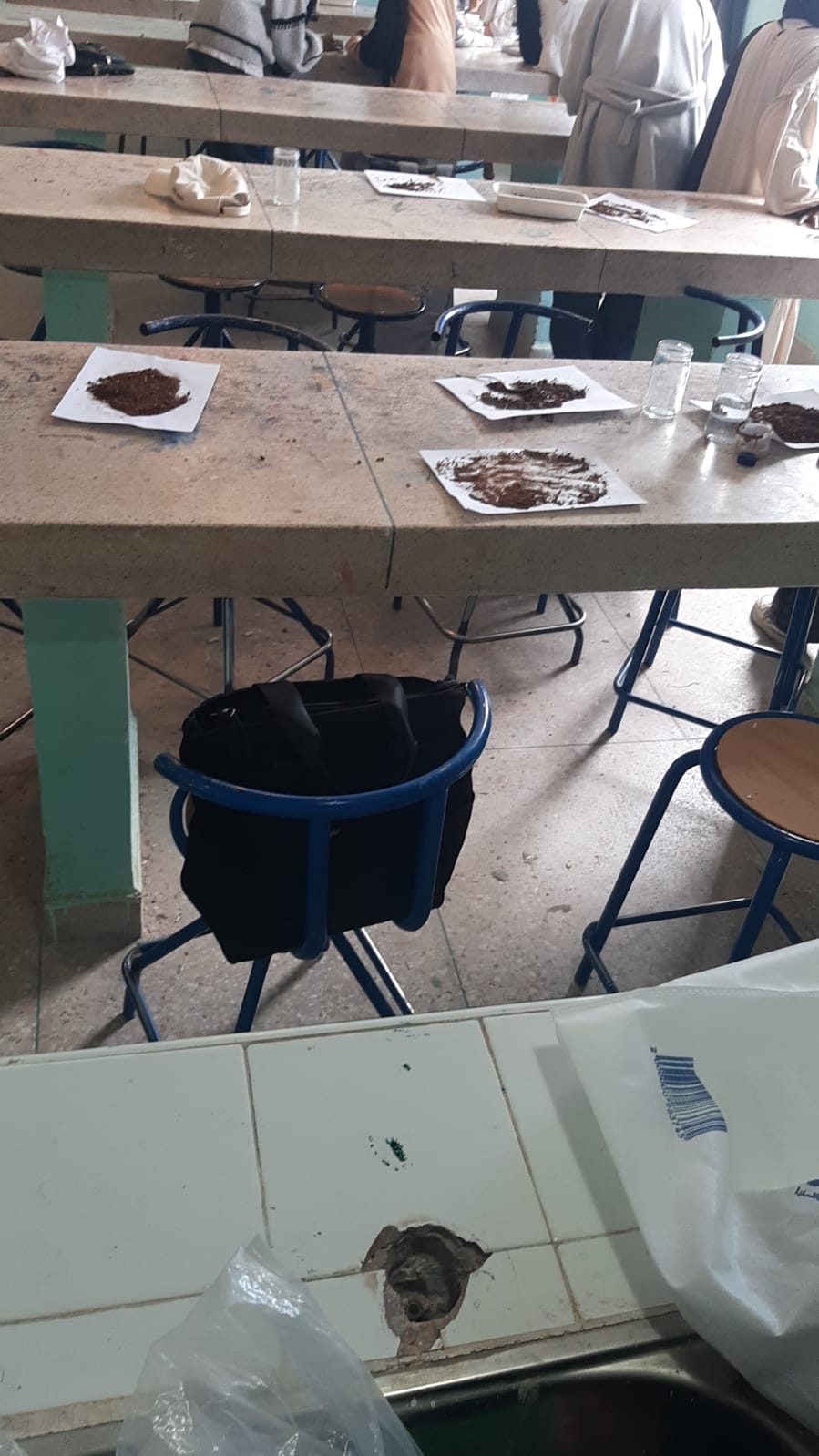 WhatsApp Image 2026-03-01 at 22.05.50