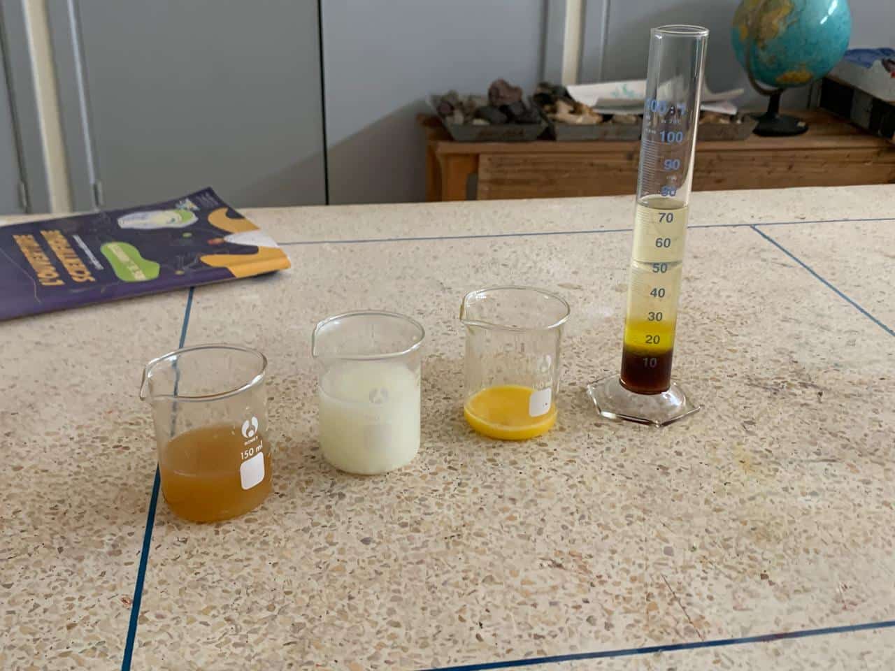 WhatsApp Image 2026-03-11 at 14.37.41 (2)